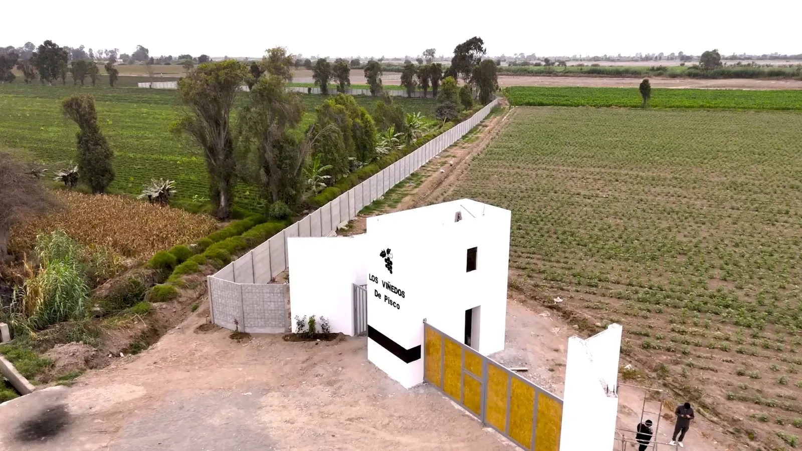 Entrada al proyecto Viñedos de Pisco